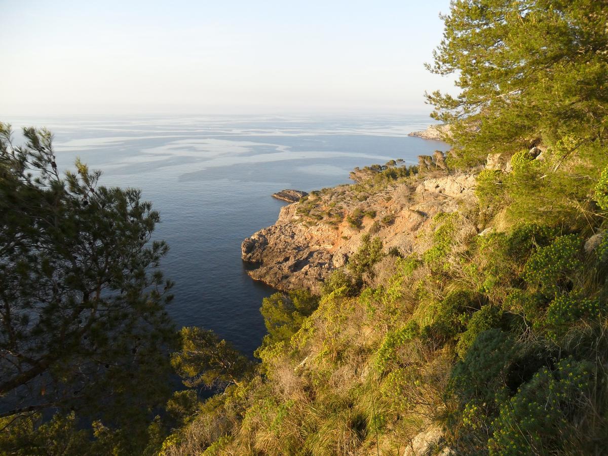 Sol Port Soller Hotel ปอร์ต เด โซลแยร์ ภายนอก รูปภาพ